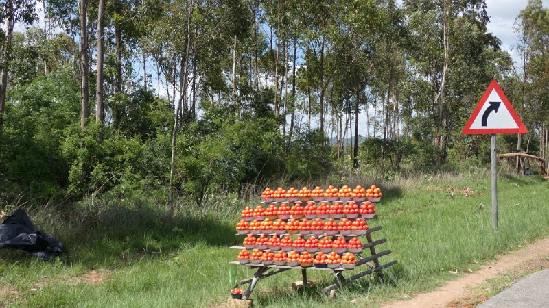 Tomatenstand Zimbabwe.jpg